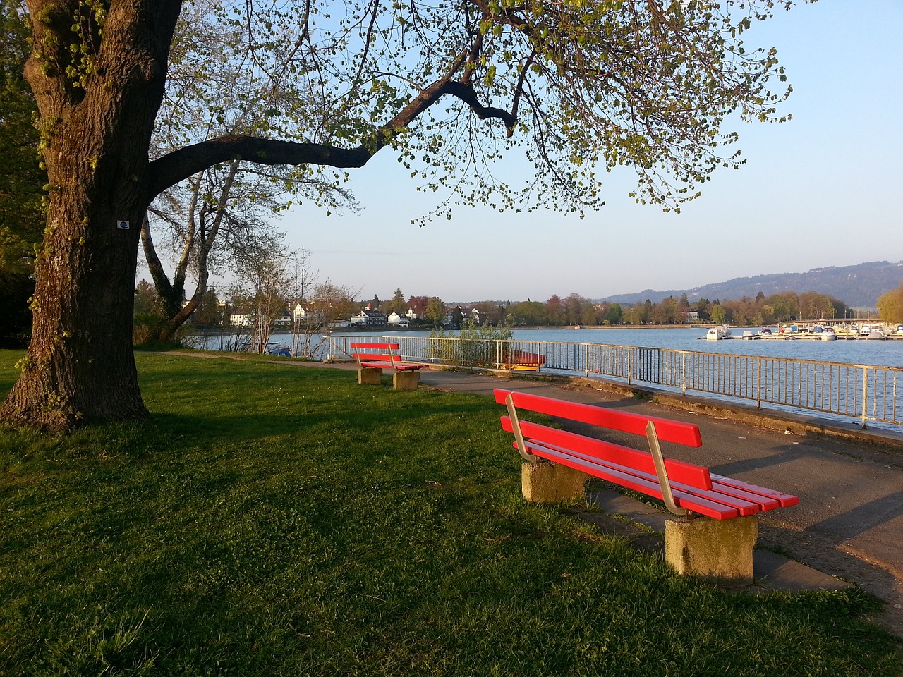 阿隆索：姆巴佩还未准备好登场，我选择相信贡萨洛·加西亚